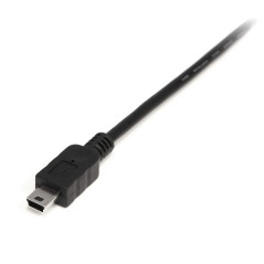 StarTech.com Câble USB 2.0 A vers Mini B de 2 m - Cordon USB A vers USB Mini B - M/M (USB2HABM2M)