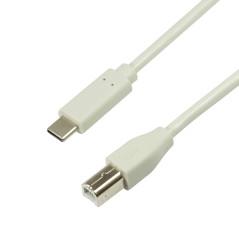 Câble de Connexion USB 2.0 Type C vers USB (Type B) Gris 1 m