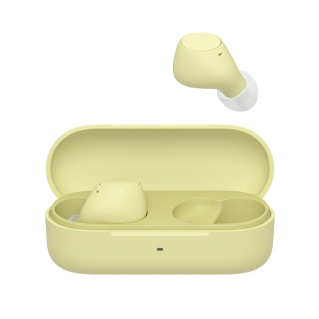 Sony WF-C510 Truly Wireless - Ecouteurs Intra-Auriculaires Bluetooth, Petits, Légers, Connexion Multipoint, Son Ambiant, IPX4, S