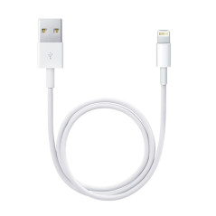 Apple Cble Lightning vers USB (2 m)