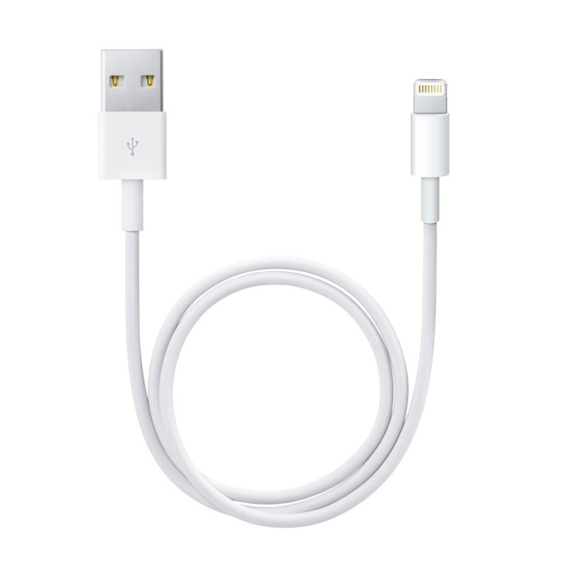 Apple Cble Lightning vers USB (2 m)