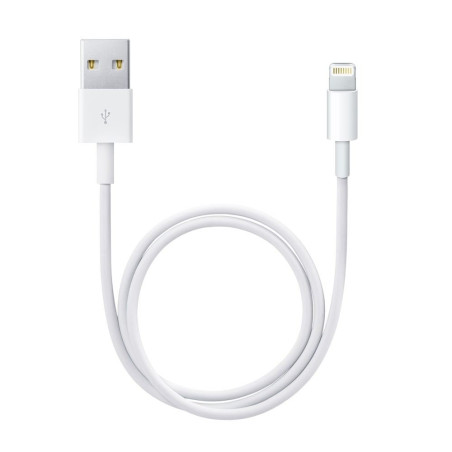Apple Cble Lightning vers USB (2 m)