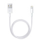 Apple Cble Lightning vers USB (2 m)