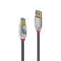 LINDY 36660 Câble USB 3.0 Type A vers B 0.5 M