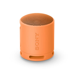 Sony SRS-XB100 - Enceinte sans Fil Bluetooth, Portable, légère, compacte, Durable, IP67, étanche à l'eau et à la poussière, Batt