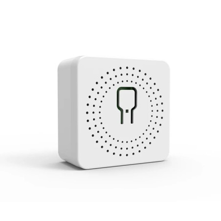 proAMEDEN ZigBee 3.0 Interrupteur intelligent 16A Mini Interrupteur intelligent WiFi Module Compatible avec Alexa et Google Home