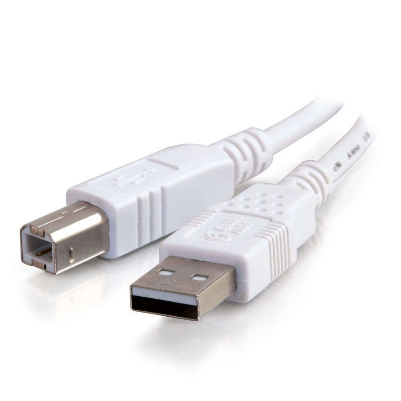 C2G Câble USB 2.0 A vers B pour imprimante HP, Epson, Brother, Samsung, Cannon et tous les autres appareils USB A/B Blanc 2 m C2G Câble USB 2.0 A vers B pour imprimante HP, Epson, Brother, Samsung, Cannon et tous les autres appareils USB A/B Blanc 2 m