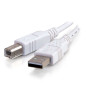 C2G Câble USB 2.0 A vers B pour imprimante HP, Epson, Brother, Samsung, Cannon et tous les autres appareils USB A/B Blanc 2 m C2G Câble USB 2.0 A vers B pour imprimante HP, Epson, Brother, Samsung, Cannon et tous les autres appareils USB A/B Blanc 2 m