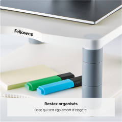 Fellowes 9171705 Support Moniteur Ergonomique Premium Gris Clair
