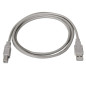 AISENS Câble USB 2.0 A vers USB B A101-0002 Beige AISENS Câble USB 2.0 A vers USB B A101-0002 Beige