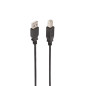 Câble d'imprimante Ewent Black USB 2.0, 3 mètres, Tibo A mâle vers Type B mâle