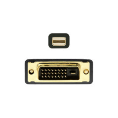 AISENS A125-0363 Câble convertisseur mini dp vers DVI, mini dp mâle vers DVI mâle Noir 2,0 m
