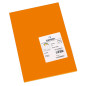 CANSON Iris Vivaldi - Paquet 50 feuilles de papier couleur A4 - 185g/m² - Orange