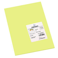 CANSON Iris Vivaldi - Paquet 50 feuilles de papier couleur A4 - 185g/m² - Vert pomme