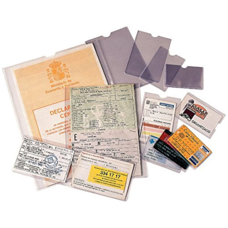 ESSELTE 46001 - Caja 100 portacarnets 60Q NIF 87 x 56 mm apaisado