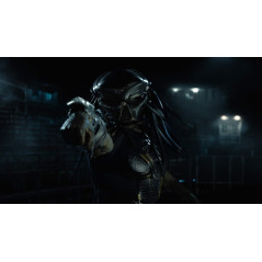 Predator