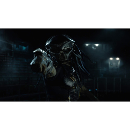 Predator