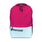 Celly PTBK198P Pantone Sac à dos pour ordinateur portable Rose Celly PTBK198P Pantone Sac à dos pour ordinateur portable Rose