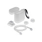 DeLOCK Apple 18351 Coque de Protection en Silicone avec kit d'accessoires 5 en 1 Blanc Compatible avec Airpods 1 & 2 DeLOCK Apple 18351 Coque de Protection en Silicone avec kit d'accessoires 5 en 1 Blanc Compatible avec Airpods 1 & 2