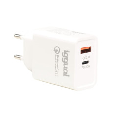 iggual - Chargeur mural USB à double prise | Adaptateur secteur USB C type PD 20 W + adaptateur d'alimentation USB QC3.0 | Compa
