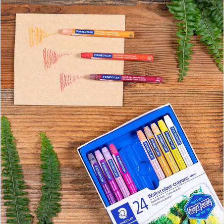 Staedtler Craies aquarellables de qualité professionnelles, Couleurs opaques et faciles à mélanger, Étui carton avec 24 craies a