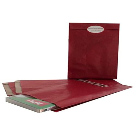 Apli 101652 250 Enveloppes Pochettes Cadeau, 32cm x 18cm x 6cm, Kraft Rouge
