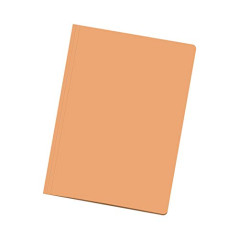 DOHE - Pack Sous-chemises - Format feuillet - Orange clair - 50 u.