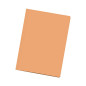 DOHE - Pack Sous-chemises - Format feuillet - Orange clair - 50 u. DOHE - Pack Sous-chemises - Format feuillet - Orange clair - 50 u.