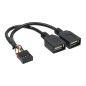 InLine 33440M Câble Adaptateur à 2 Prises Femelles A vers Prise mâle USB 2.0 1 pièce InLine 33440M Câble Adaptateur à 2 Prises Femelles A vers Prise mâle USB 2.0 1 pièce