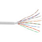 InLine 69978C Câble téléphonique 16 fils 8 x 2 x 0,6 mm à poser, anneau de 25 m InLine 69978C Câble téléphonique 16 fils 8 x 2 x 0,6 mm à poser, anneau de 25 m
