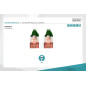DIGITUS Câble LAN Cat 6-0,25m - 10 pièces - RJ45 Câble réseau - S/FTP Blindé - Compatible Cat 6A & Cat 7 - Vert DIGITUS Câble LAN Cat 6-0,25m - 10 pièces - RJ45 Câble réseau - S/FTP Blindé - Compatible Cat 6A & Cat 7 - Vert