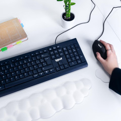 iggual – Souris Ergonomique Filaire avec Câble USB de 1,5m, 6 Boutons et DPI Réglable Entre 800 et 2400, Souris de Gamer Compati