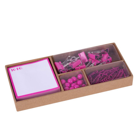 APLI 18424 - Ensemble bureau Fluor Collection - Rose