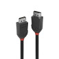 Lindy 36490 Câble DisplayPort 0.5 M Noir