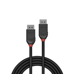 Lindy 36490 Câble DisplayPort 0.5 M Noir