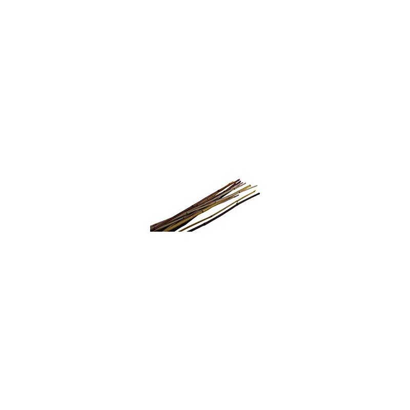 Desconocido CAÑA DECORATIVA 160CM - SURTIDOS