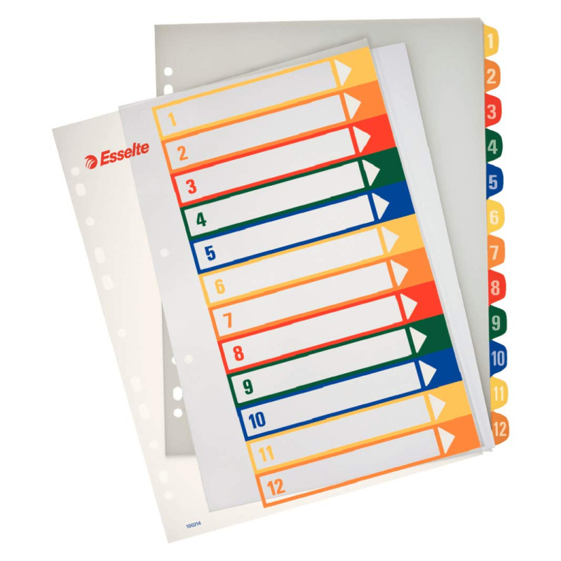 ESSELTE 100214 - Indice de proyectos imprimibles PP DIN A4 1-12