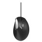 Rapoo EV200 Souris Droitier USB Type-A Optique 1600 DPI Rapoo EV200 Souris Droitier USB Type-A Optique 1600 DPI
