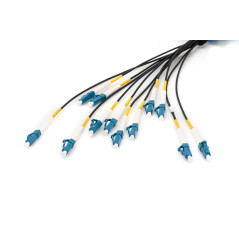 DIGITUS DK-2A33CU100BK-BBB – Câble À Fibre Optique OS2 – 100 m – LC (UPC) à LC (UPC) – 12 Fibres Câble De Breakout – 1/10 Gbit/s