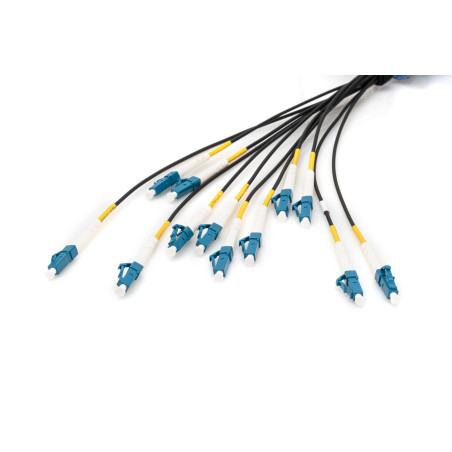 DIGITUS DK-2A33CU100BK-BBB – Câble À Fibre Optique OS2 – 100 m – LC (UPC) à LC (UPC) – 12 Fibres Câble De Breakout – 1/10 Gbit/s