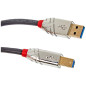 LINDY 36661 Câble USB 3.0 Type A vers B 1 M