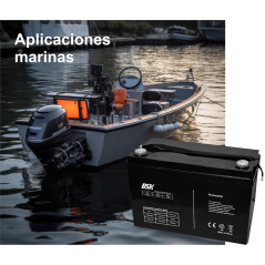 DSK 10370 - Batterie Plomo Haute décharge AGM scellée de 12 V et 12 Ah idéale pour UPS-SAI, systèmes de sécurité et de Communica