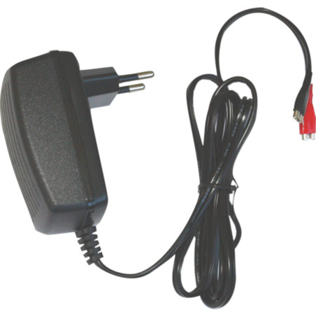 DSK - Chargeur Automatique pour Batterie au Plomb, 6V, 500mAh