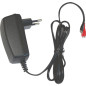 DSK - Chargeur Automatique pour Batterie au Plomb, 6V, 500mAh