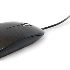 Conceptronic 1200069 Noir, Gris USB