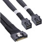 InLine Câble SAS Slim SFF-8654 8i vers 2 x SFF-8643 0,5 m 27648A