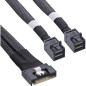 InLine Câble SAS Slim SFF-8654 8i vers 2 x SFF-8643 0,5 m 27648A