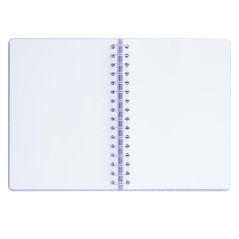 Grupo Erik - Carnet Chat Pointillé Pusheen | Carnet de Notes A5, Carnet Spirale | Bullet Journal Spirale| Bullet Agenda | Notebo