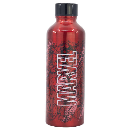 Bouteille en aluminium pour jeunes adultes - Bouteille d'eau réutilisable Marvel 755 ml
