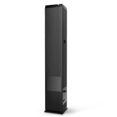 Energy Sistem Tower 5 Max (100 W, Bluetooth, True Wireless, USB/SD) Noir